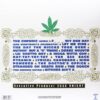 Dr. Dre-The Chronic 2xLP ((1992) - Imagen 2