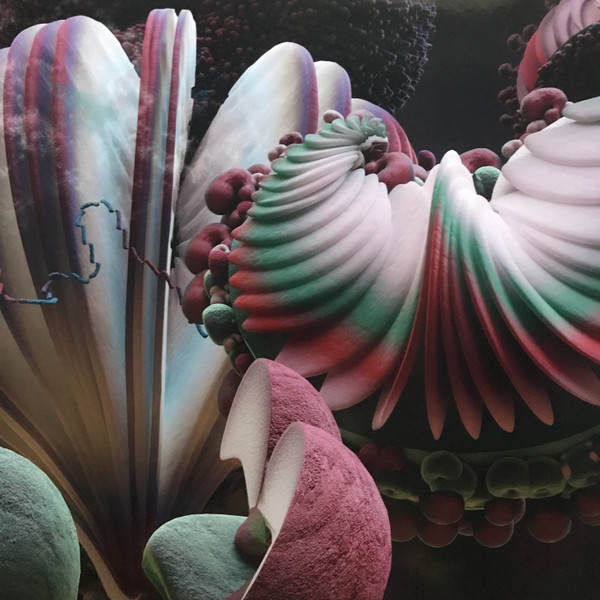Bjork - Fossora (2xLP) (2022) - Imagen 9