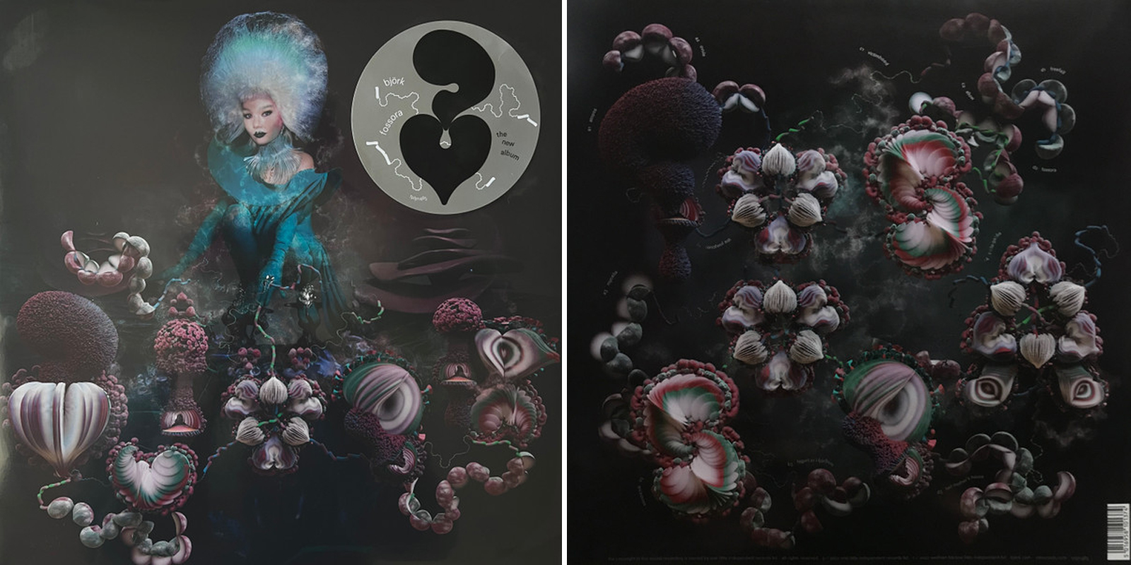 Bjork - Fossora (2xLP) (2022) - Imagen 3