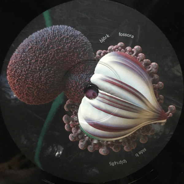 Bjork - Fossora (2xLP) (2022) - Imagen 7