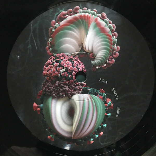 Bjork - Fossora (2xLP) (2022) - Imagen 10