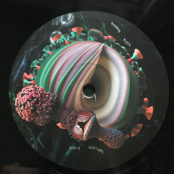 Bjork - Fossora (2xLP) (2022) - Imagen 11