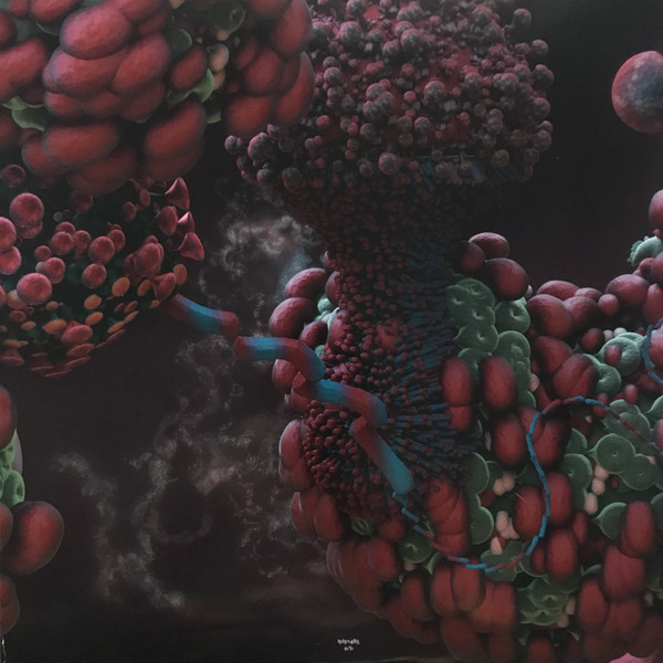 Bjork - Fossora (2xLP) (2022) - Imagen 8