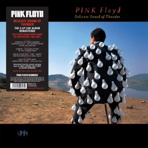 Pink Floyd - Delicated Soun Of Thunder (2xLP) (1988)